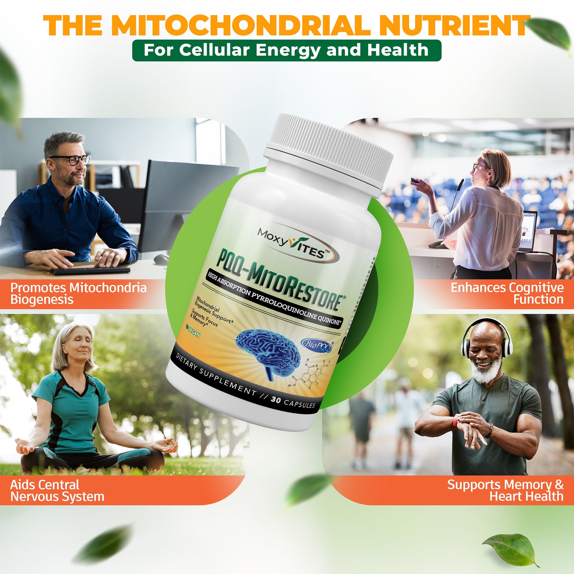 Brain Supplements for Memory and Focus