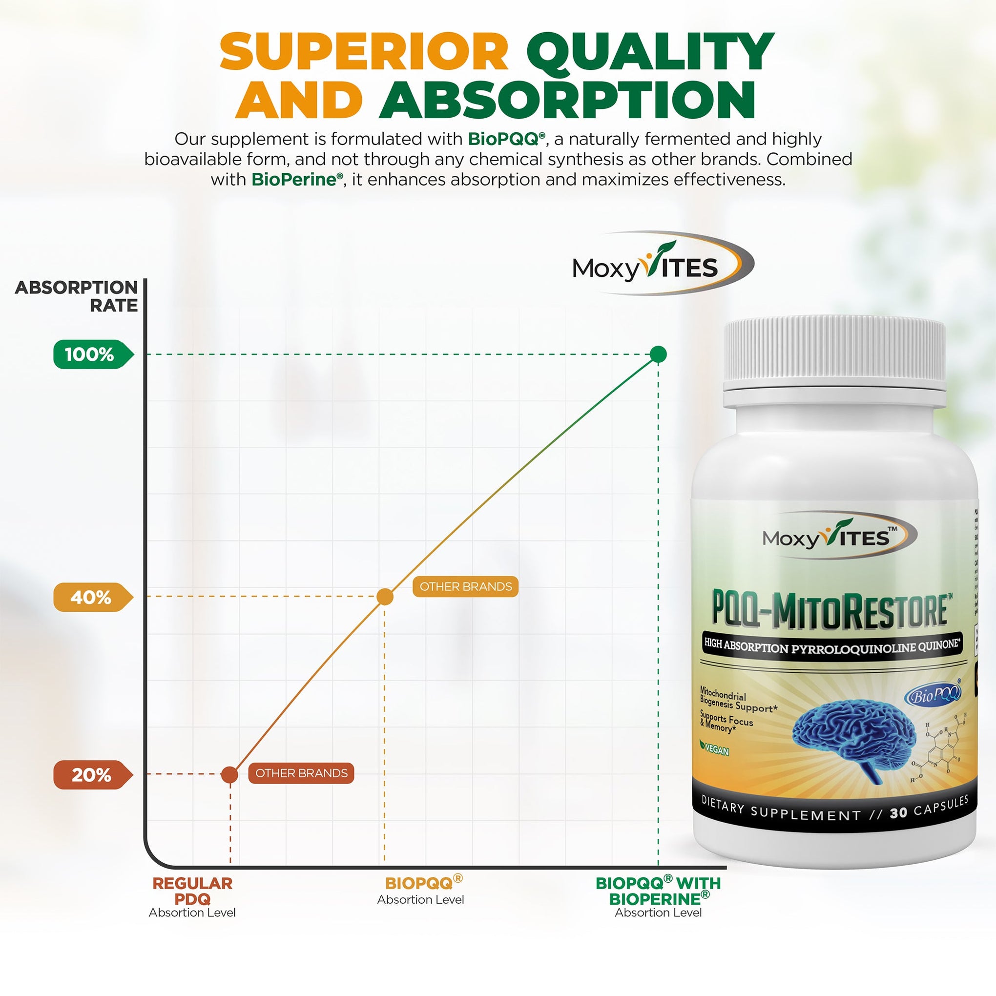 Brain Supplements for Memory and Focus