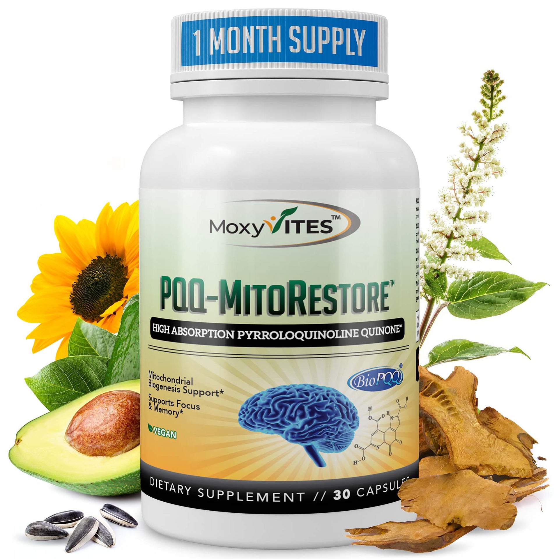 Brain Supplements for Memory and Focus