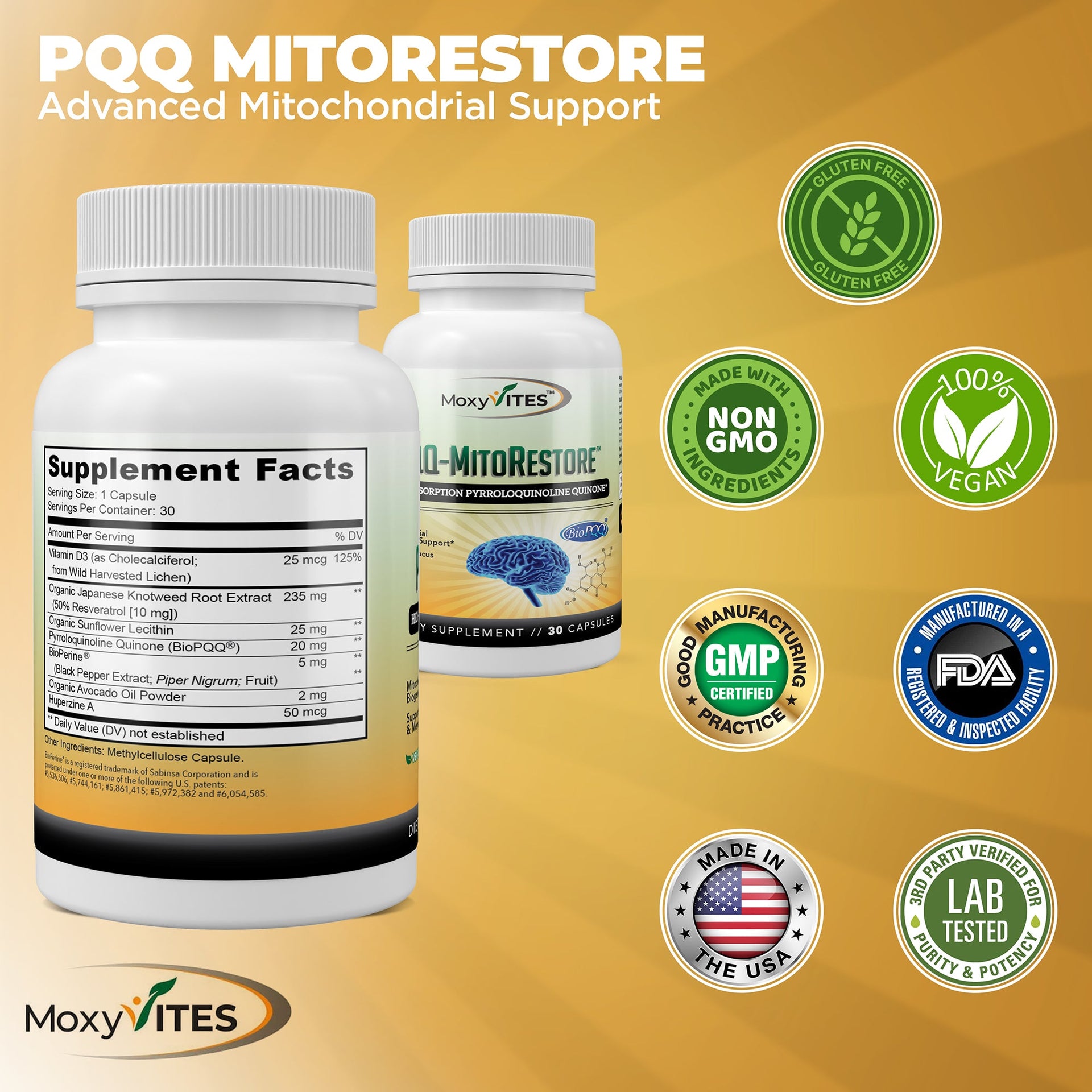 Brain Supplements for Memory and Focus