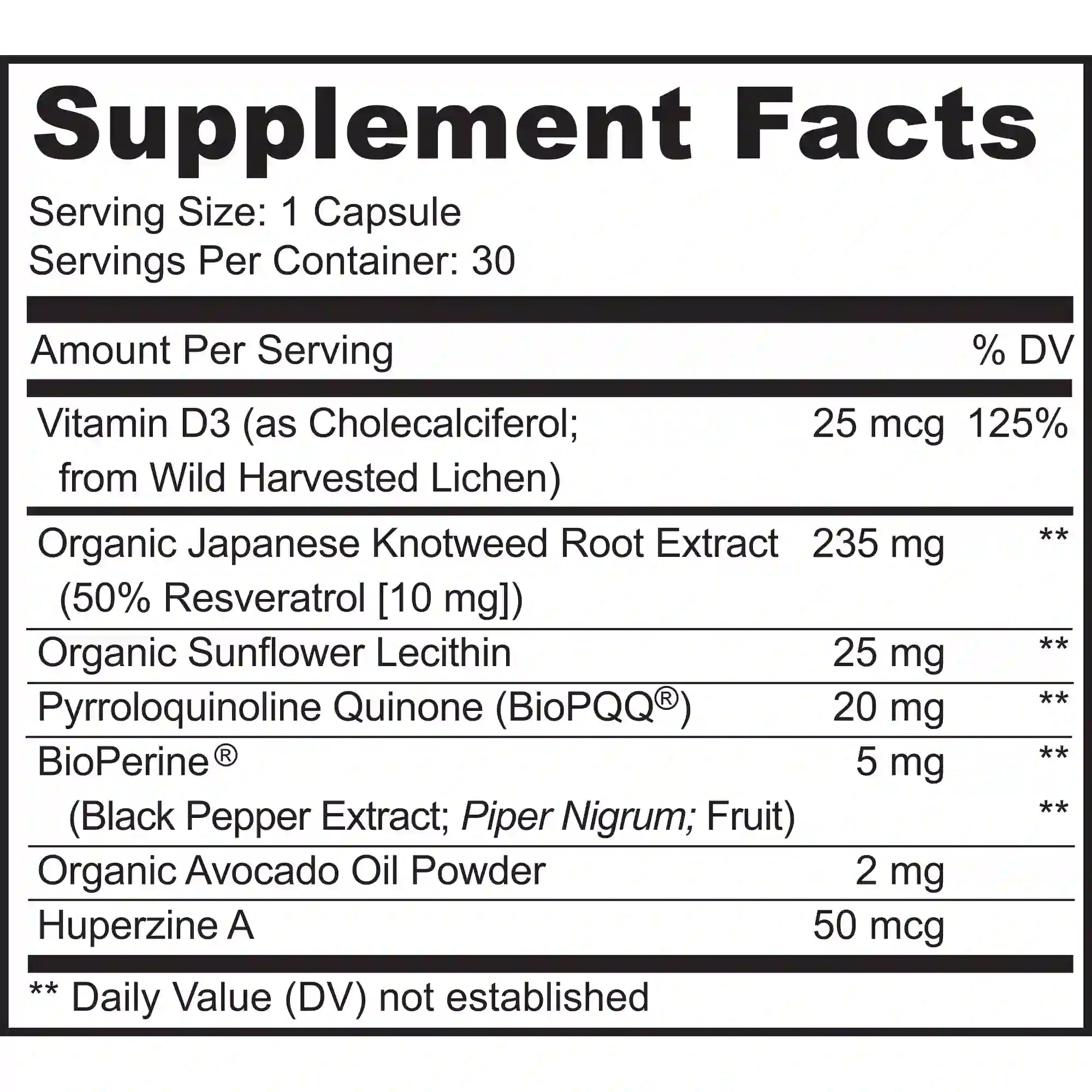 Brain Supplements for Memory and Focus
