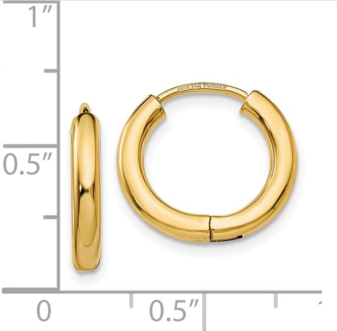 Gold Hinged Hoop Earring