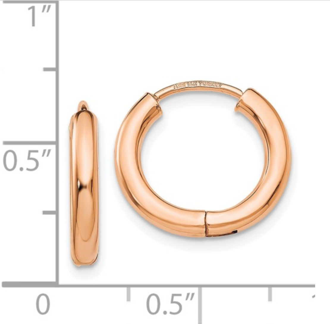 Gold Hinged Hoop Earring