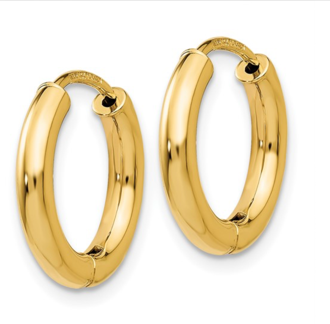 Gold Hinged Hoop Earring